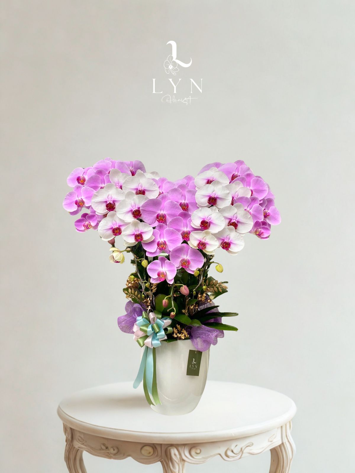 Chậu Hoa Lan Hồng 243 mix - BST 